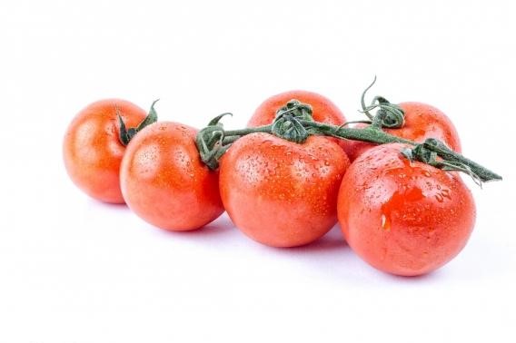 栽培方法によって トマトの特徴が違う 高糖度トマト フルーツトマト の場合 株式会社jamps ジャンプス